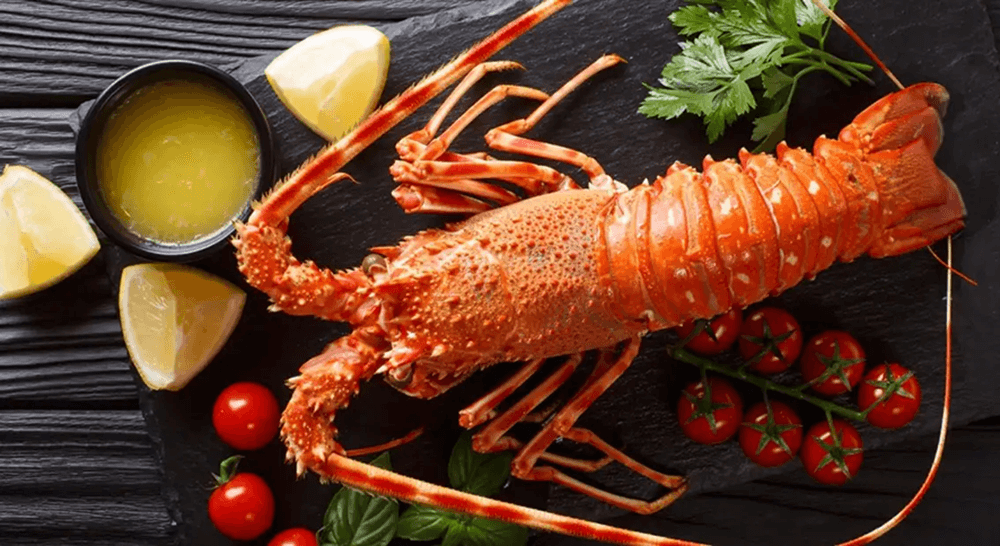 Deniz Ürünleri Böcekleri